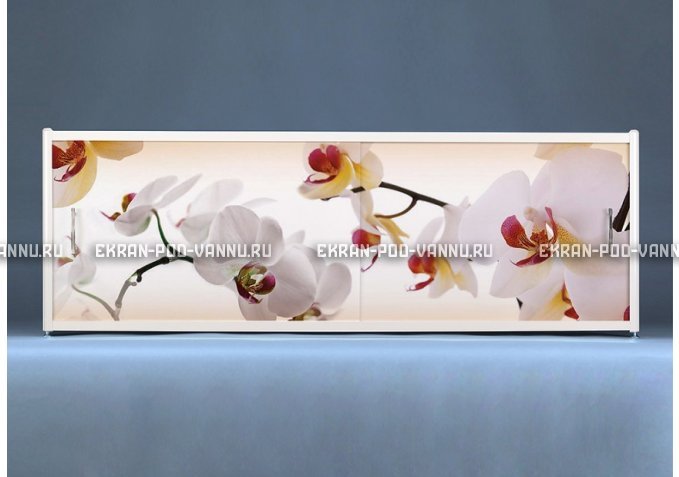 Раздвижной ФОТО экран - Orchid – купить по цене 8500 руб. в интернет-магазине в городе Томск картинка 1