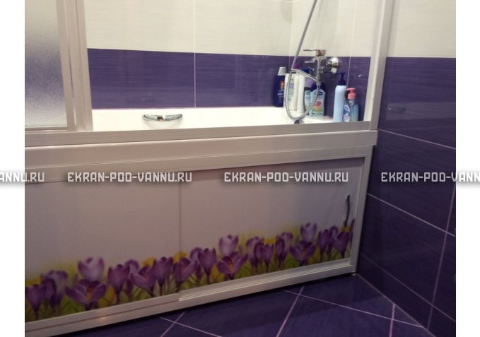 Экран на роликах EUROPLEX  Ирисы – купить по цене 12400 руб. в интернет-магазине в городе Томск картинка 3