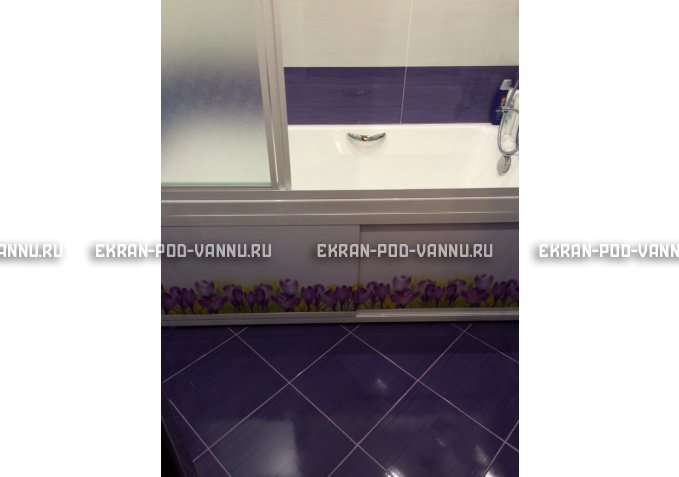 Экран на роликах EUROPLEX  Ирисы – купить по цене 12400 руб. в интернет-магазине в городе Томск картинка 4
