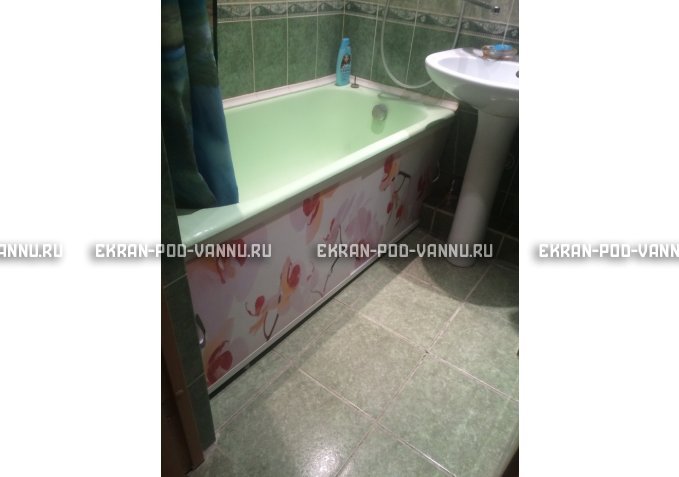 Раздвижной ФОТО экран - Orchid – купить по цене 8500 руб. в интернет-магазине в городе Томск картинка 5