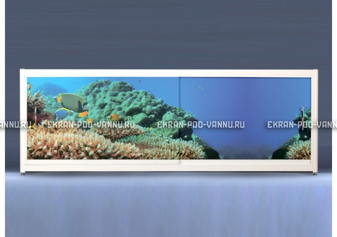 Экран на роликах EUROPLEX Коралловые рифы – купить по цене 12400 руб. в интернет-магазине в городе Томск картинка 1